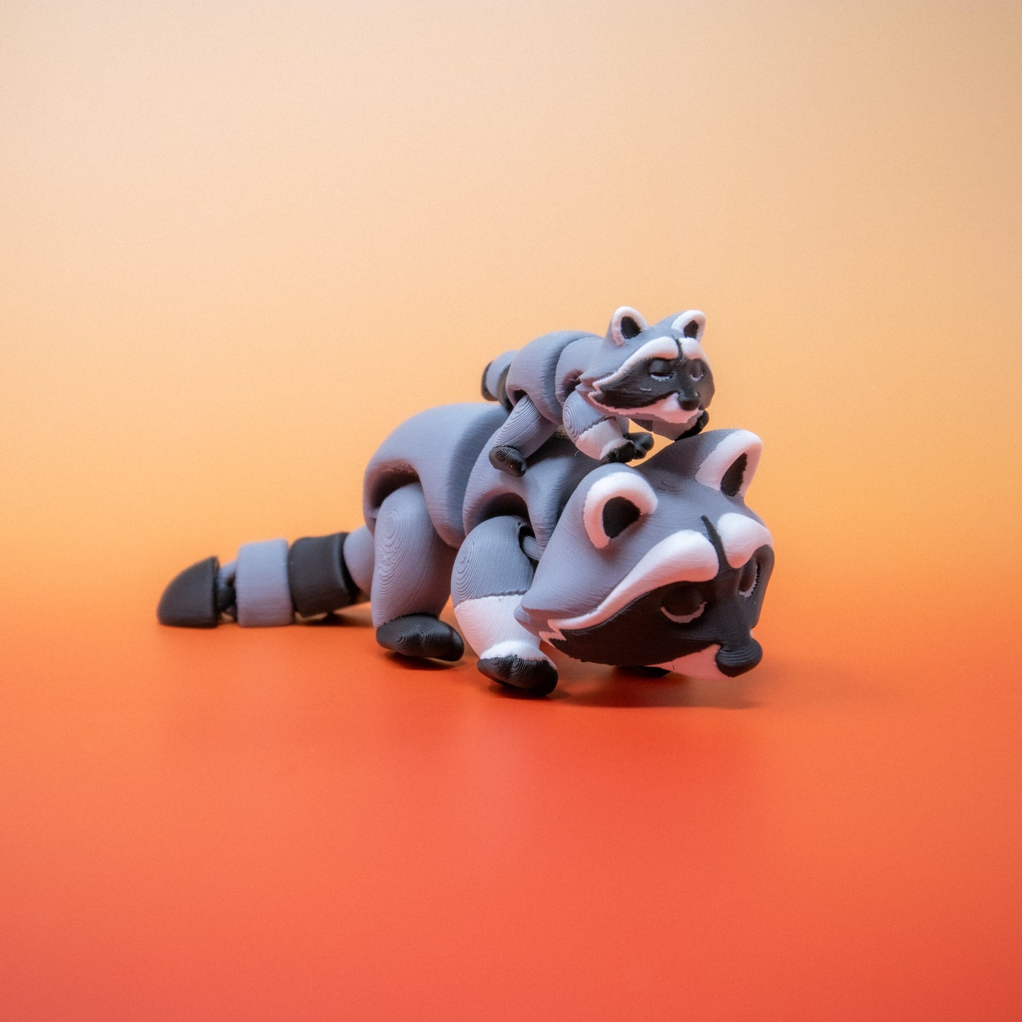 Pocket Pal: Raccoon