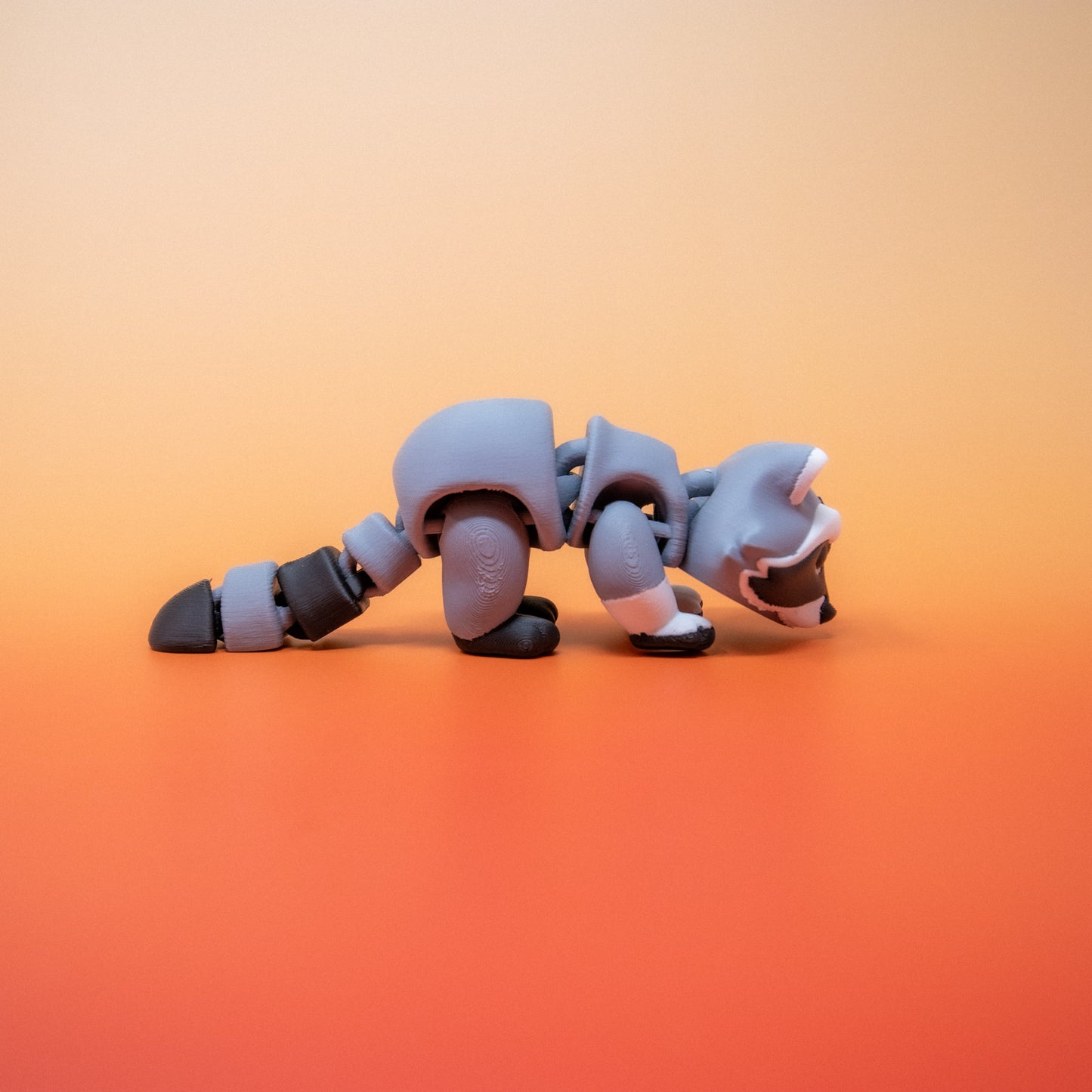 Pocket Pal: Raccoon