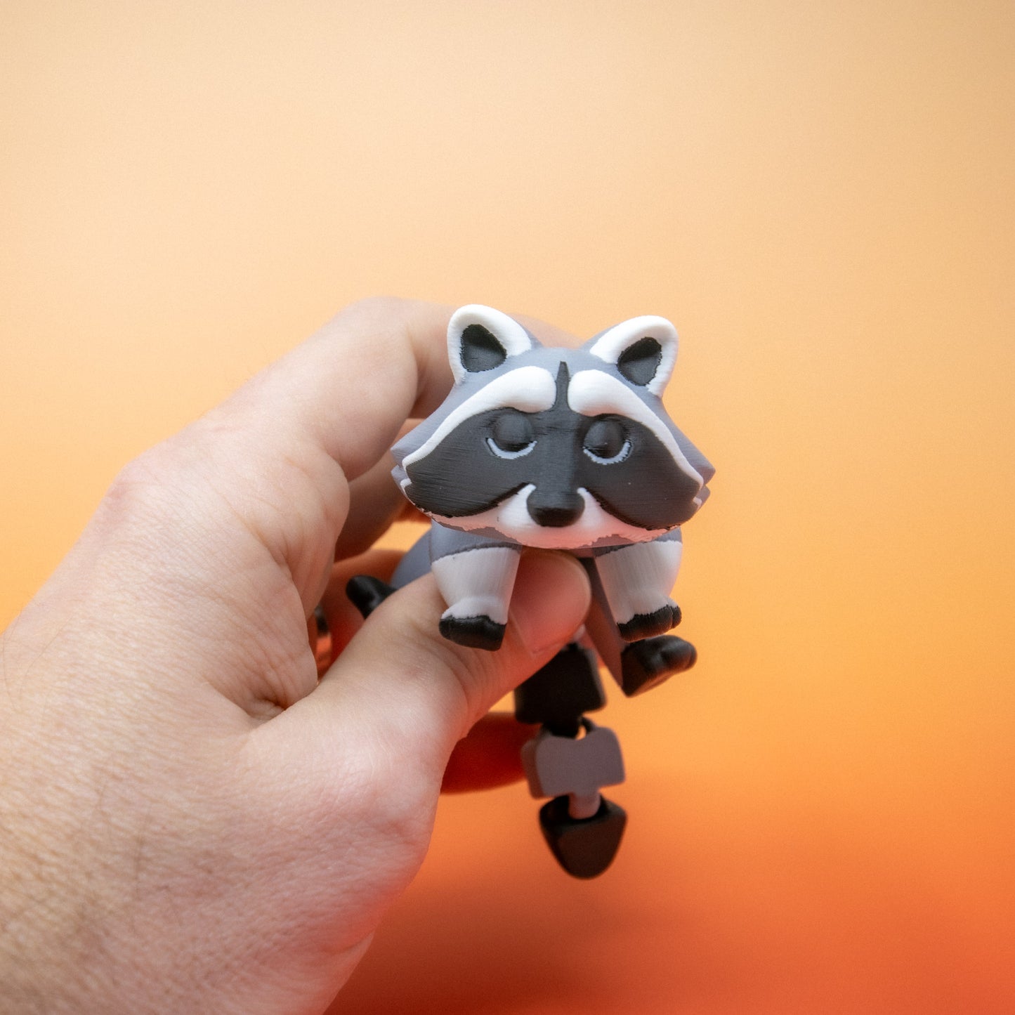 Pocket Pal: Raccoon