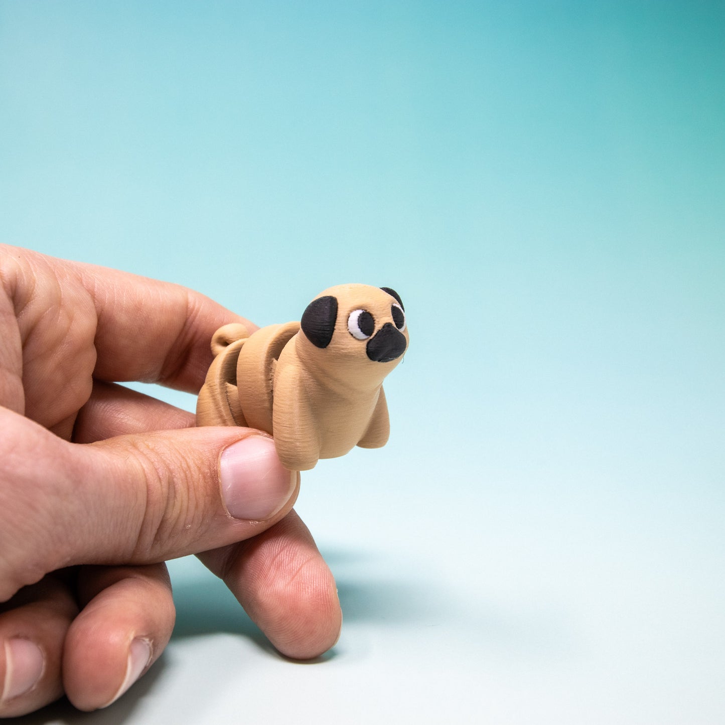 Pocket Pal: Pug