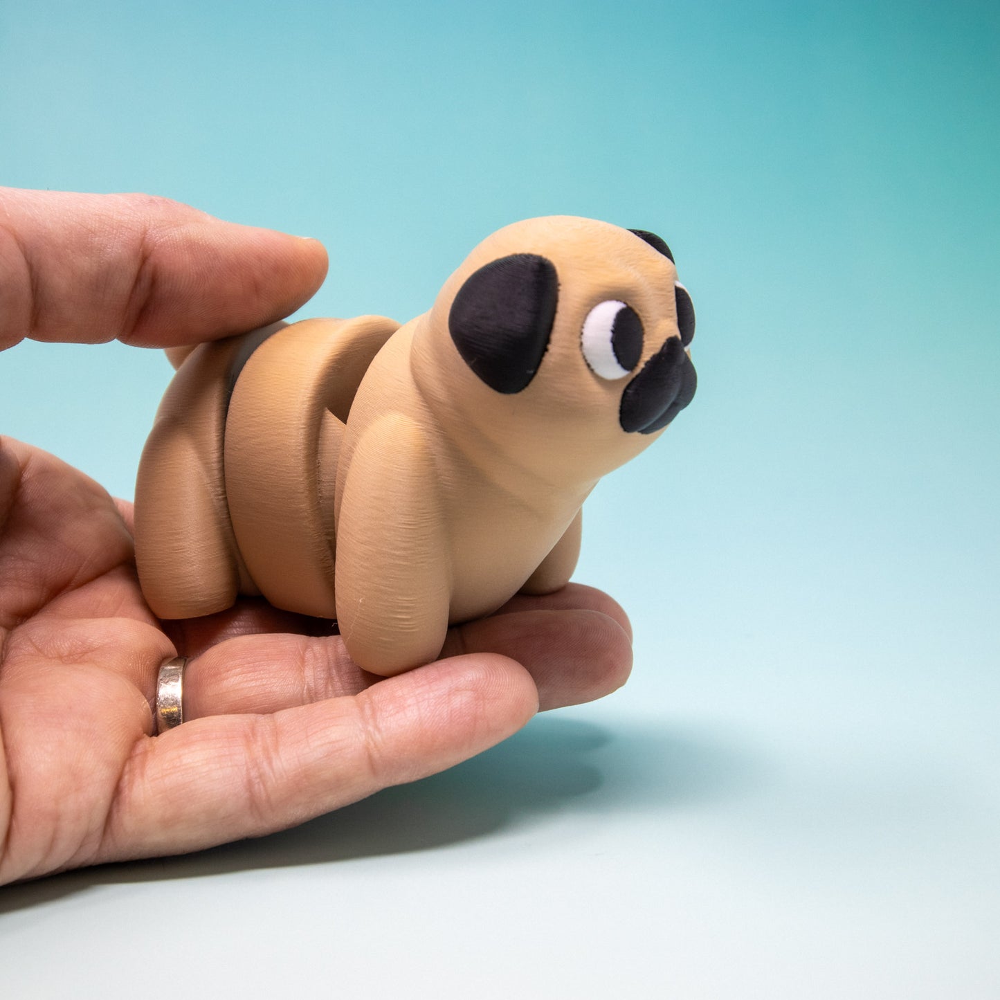 Pocket Pal: Pug