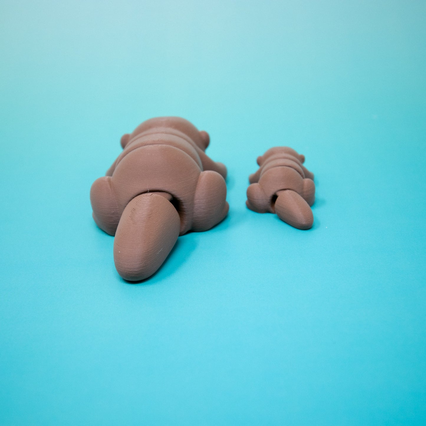 Pocket Pal: Otter