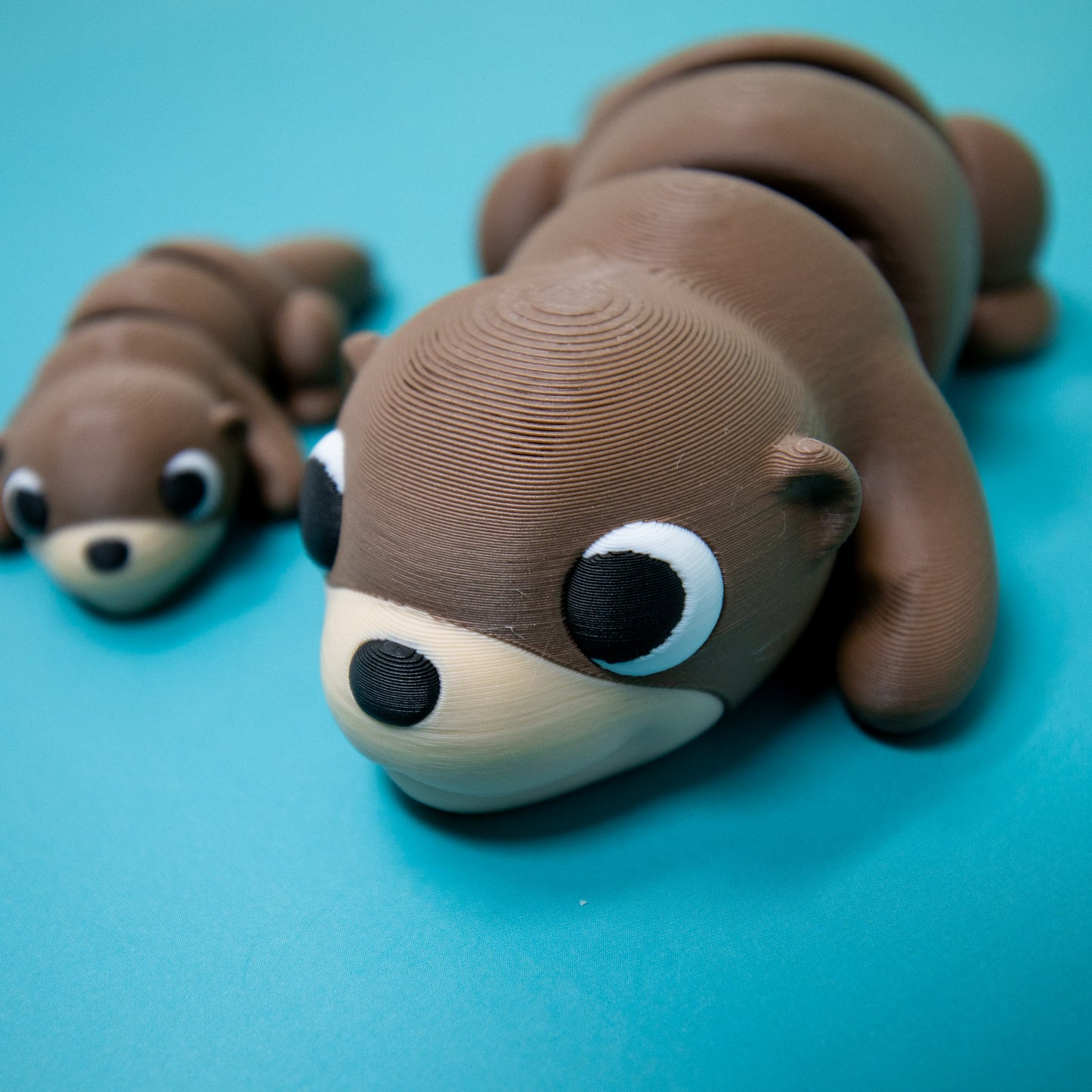 Pocket Pal: Otter