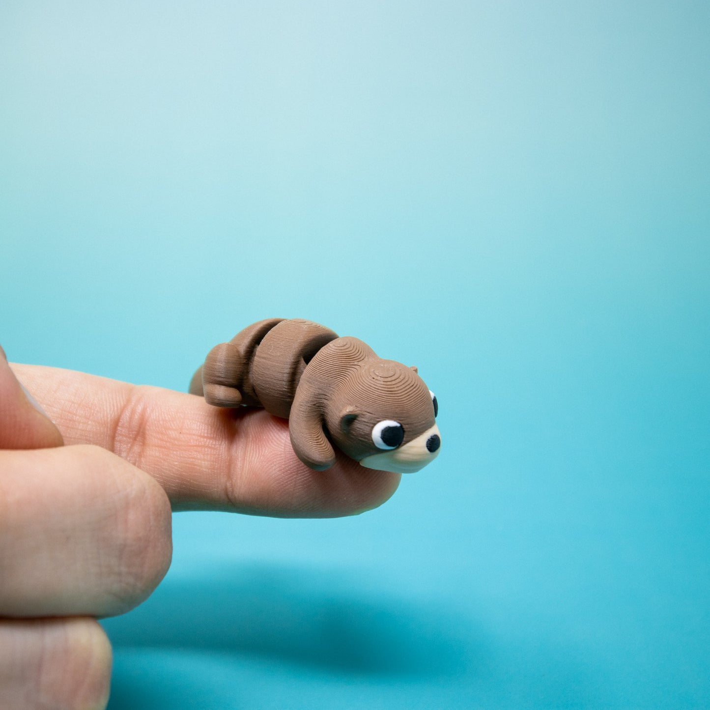 Pocket Pal: Otter