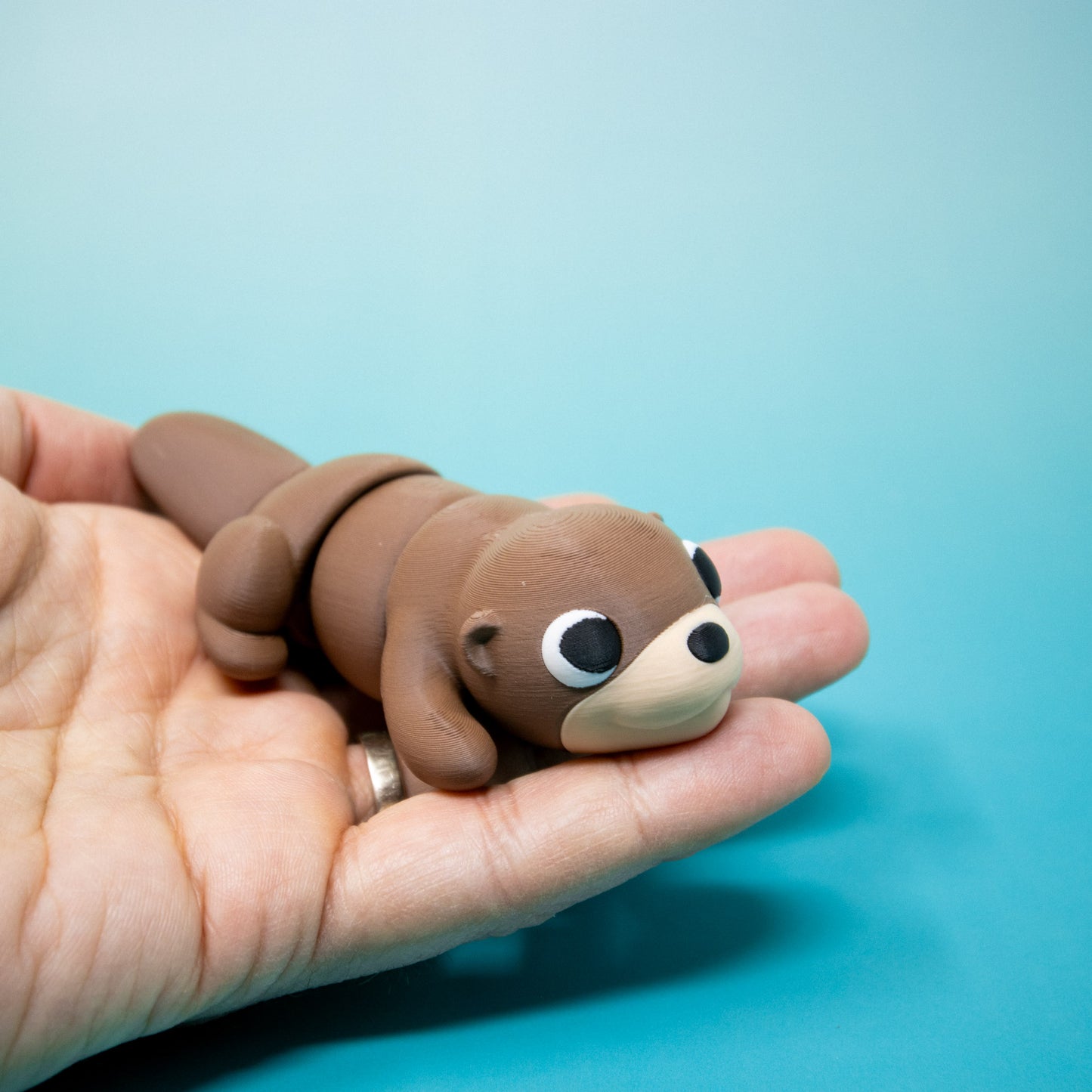 Pocket Pal: Otter