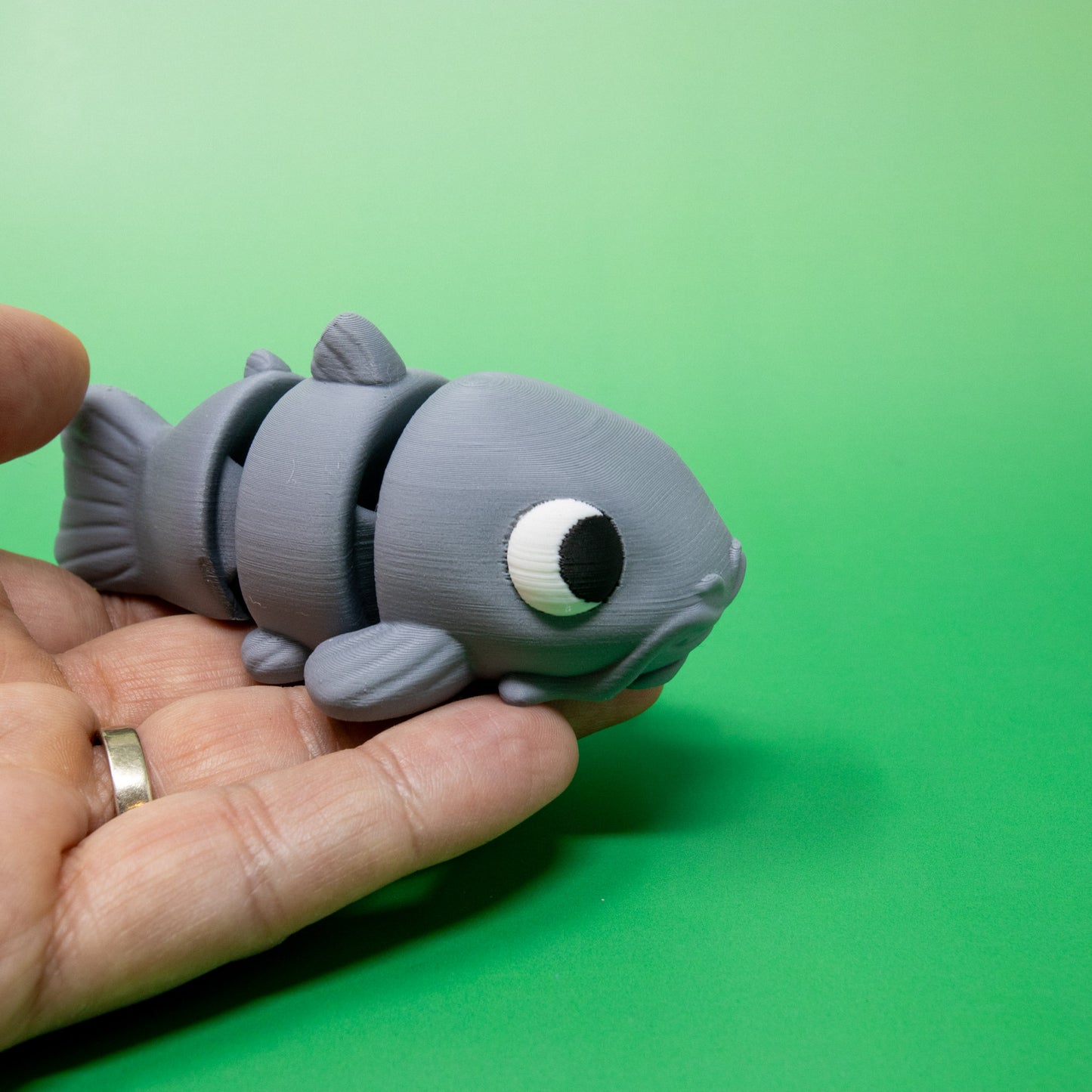 Pocket Pal: Catfish