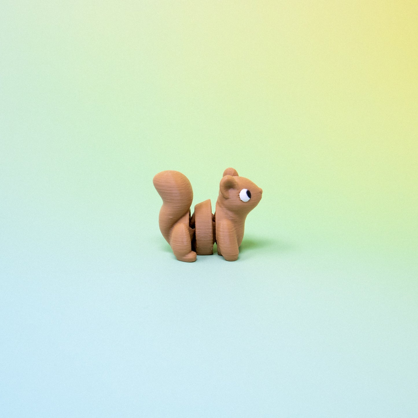 Pocket Pal: Squirrel