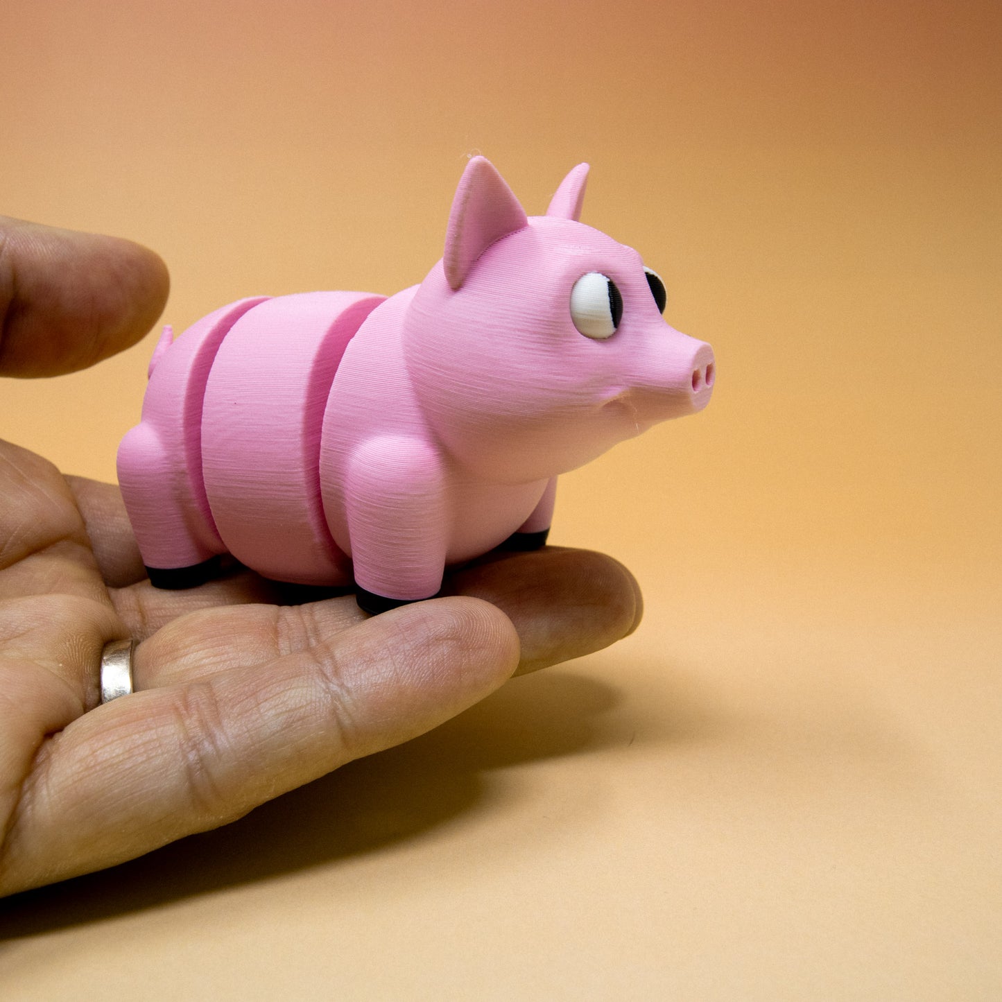 Pocket Pal: Pig
