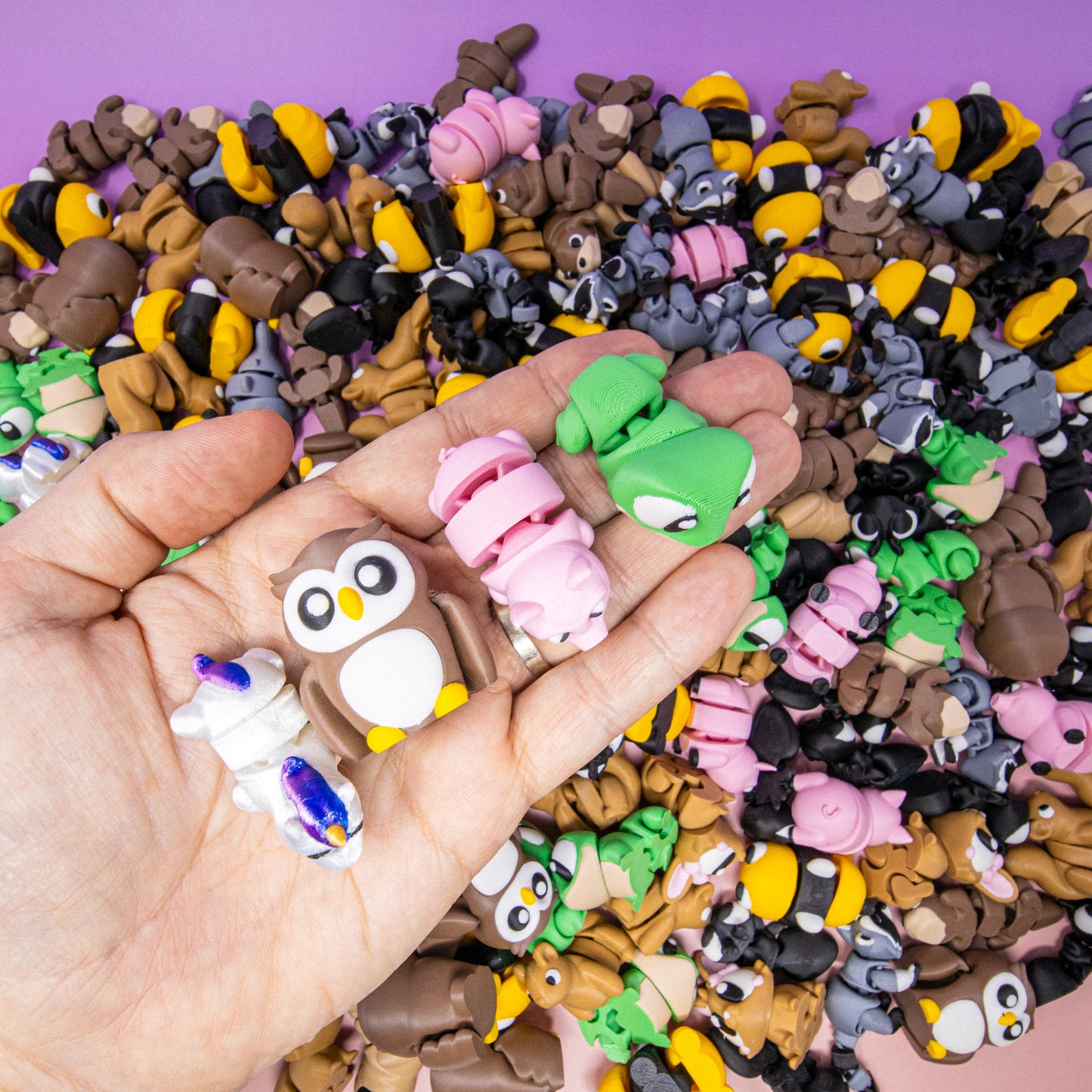 Pocket Pal: Random Assortment