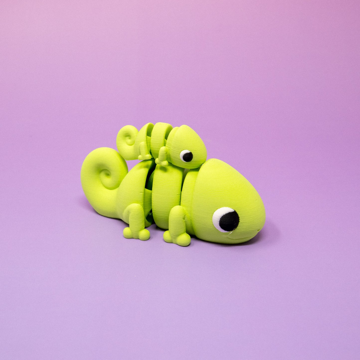 Pocket Pal: Chameleon