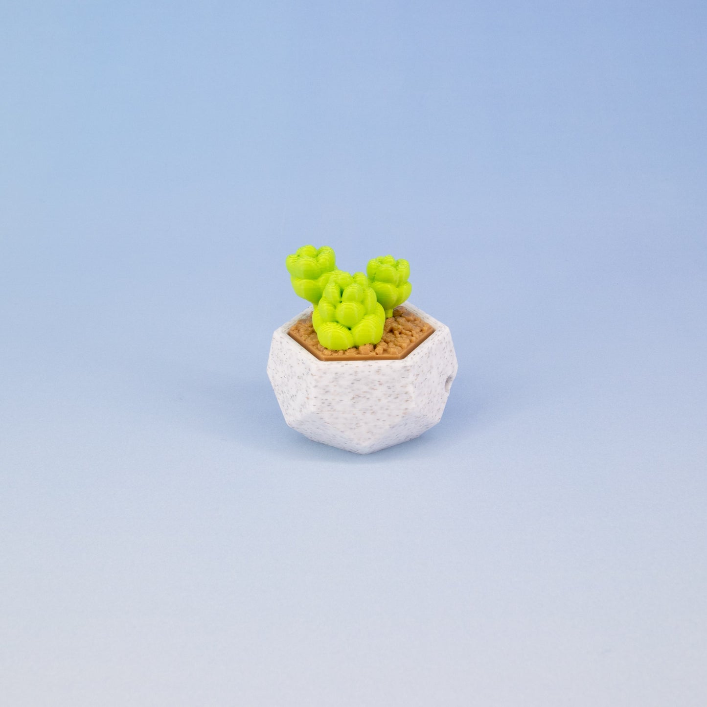 Succulent Keychain Clickie