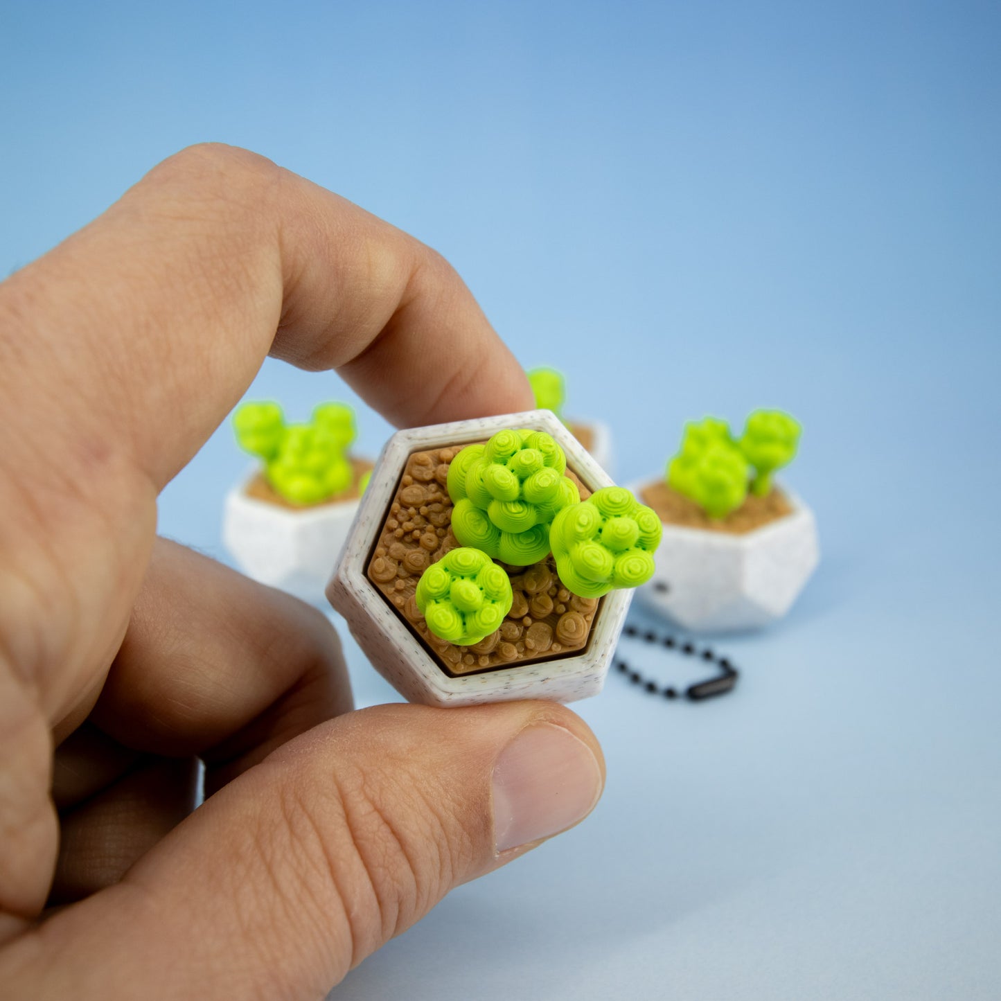 Succulent Keychain Clickie