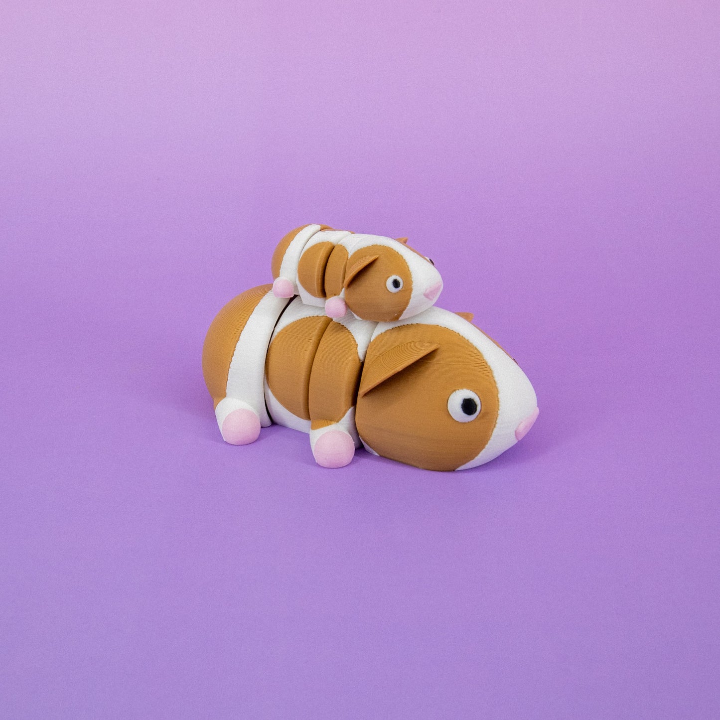 Pocket Pal: Guinea Pig
