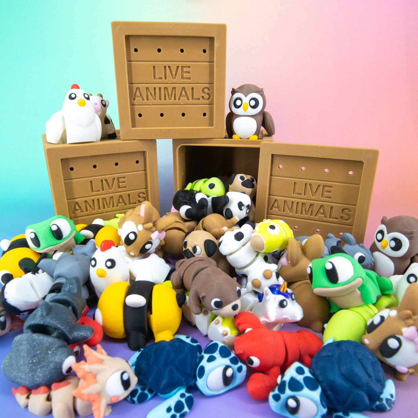 Pocket Pal: Random Assortment Crate