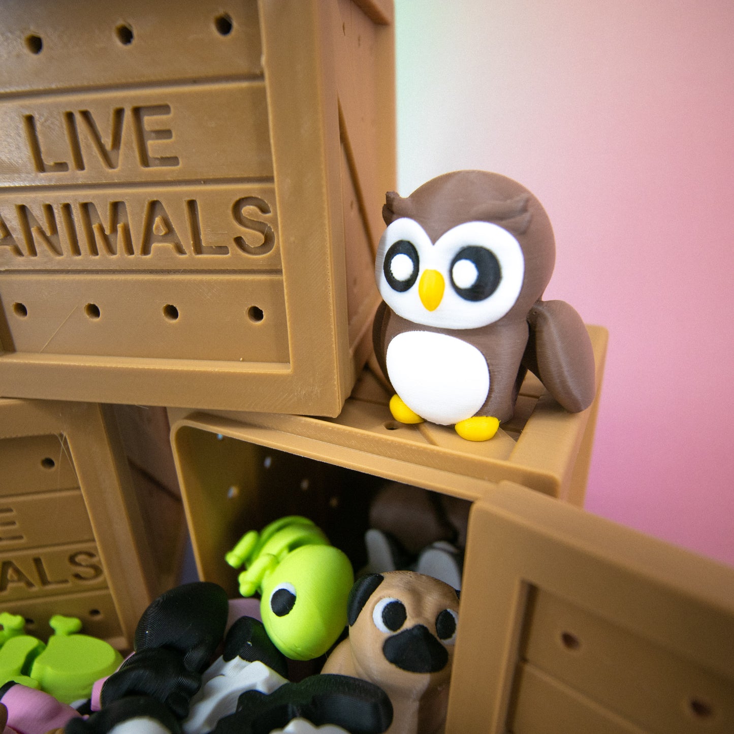 Pocket Pal: Random Assortment Crate