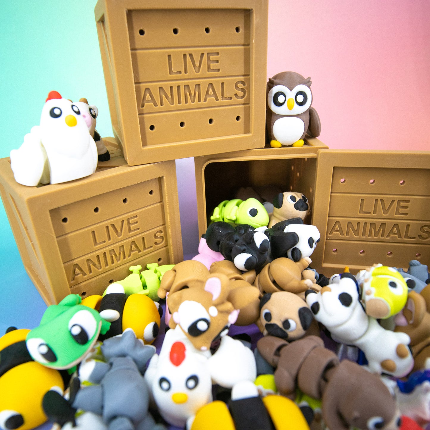 Pocket Pal: Random Assortment Crate
