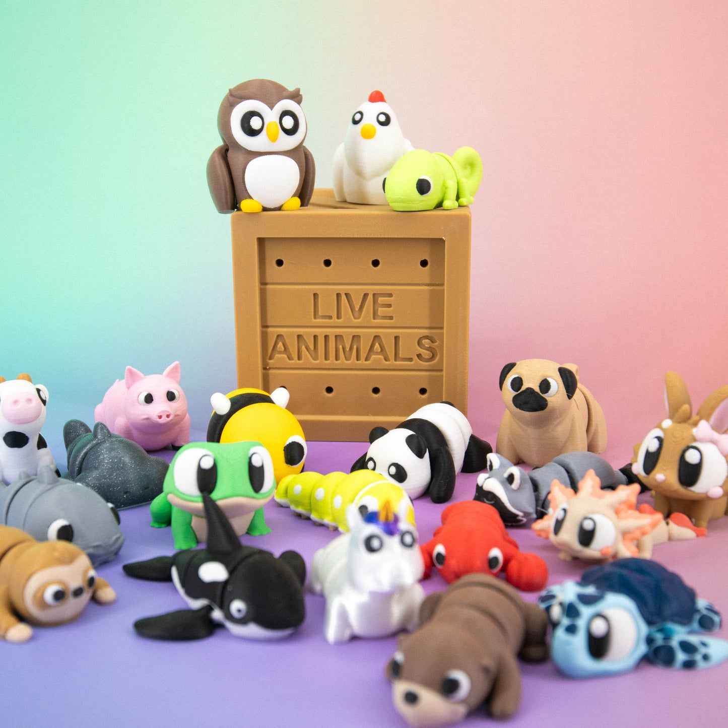 Pocket Pal: Random Assortment Crate