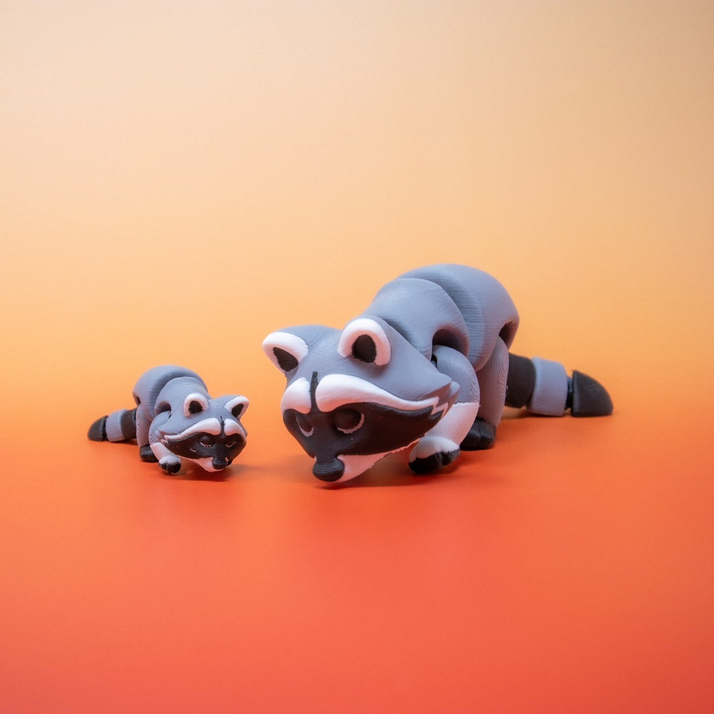 Pocket Pal: Raccoon