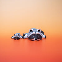 Pocket Pal: Raccoon