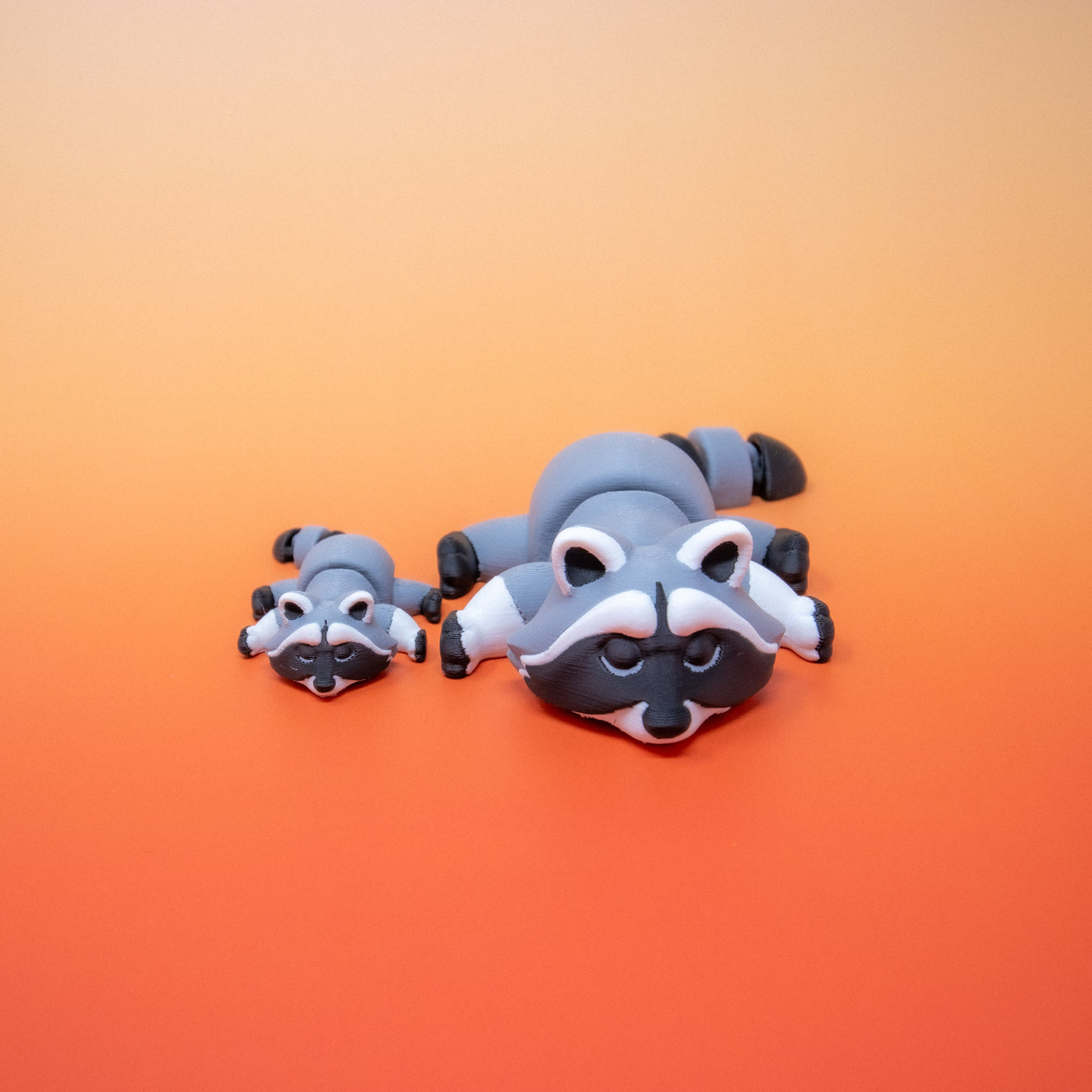 Pocket Pal: Raccoon