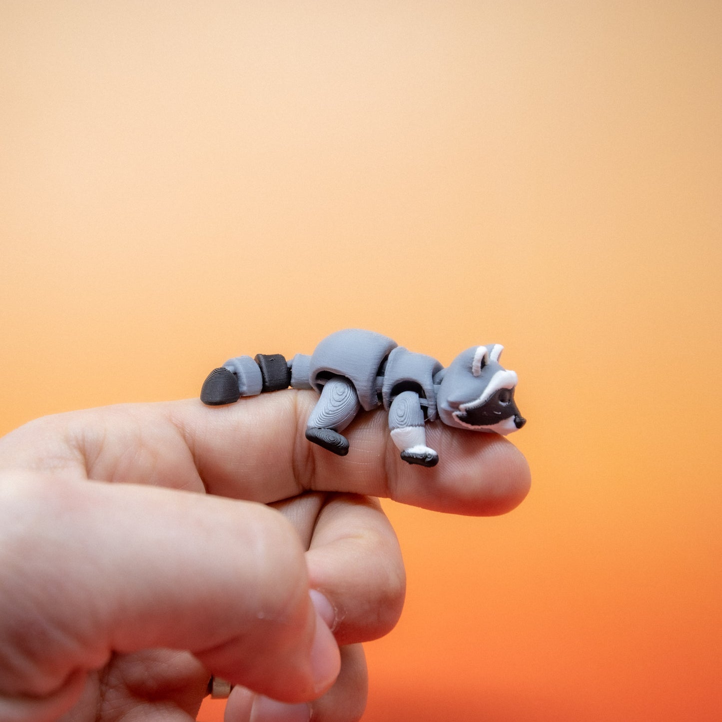 Pocket Pal: Raccoon