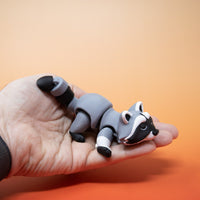 Pocket Pal: Raccoon