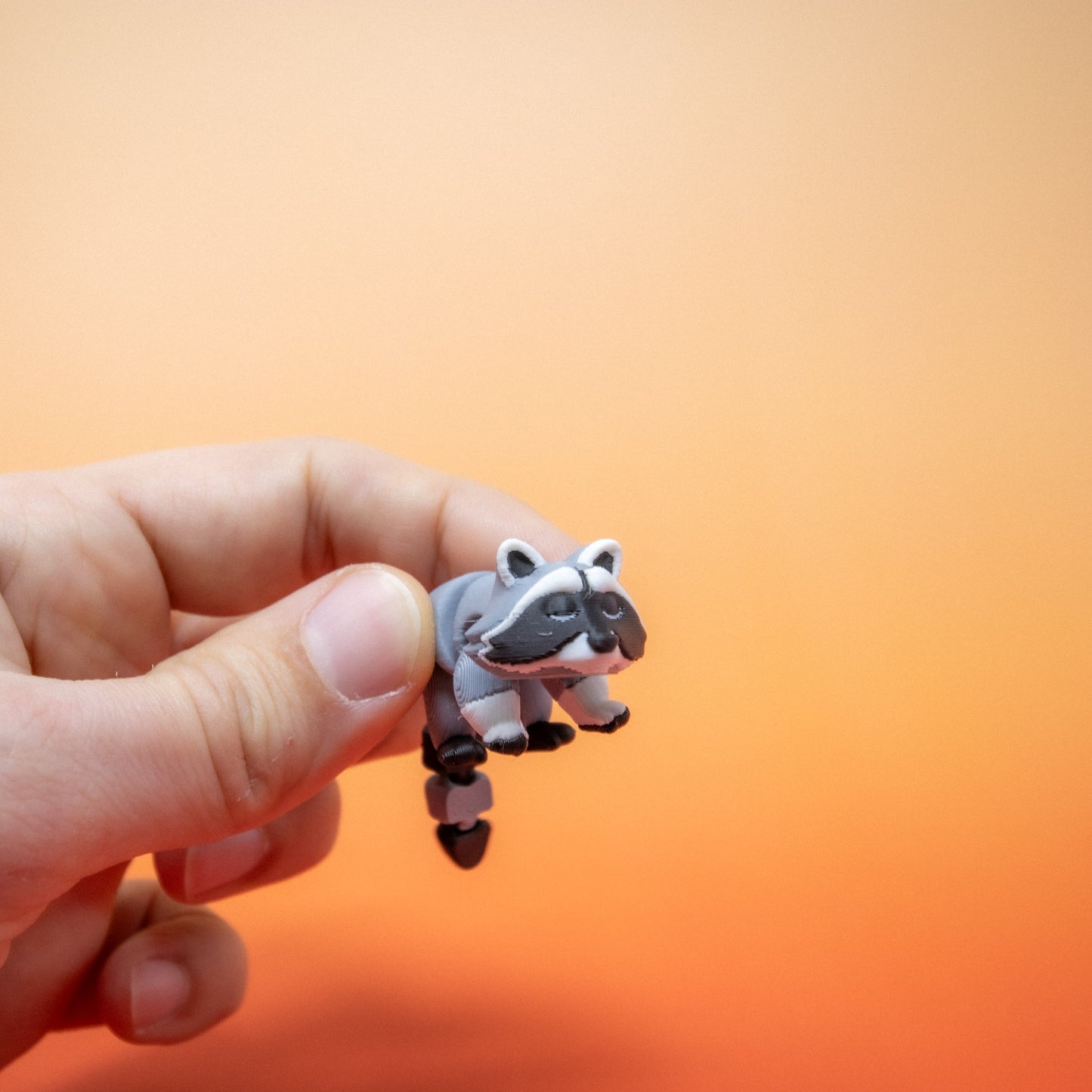 Pocket Pal: Raccoon