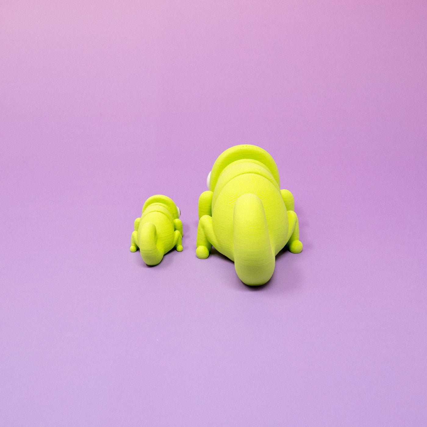 Pocket Pal: Chameleon
