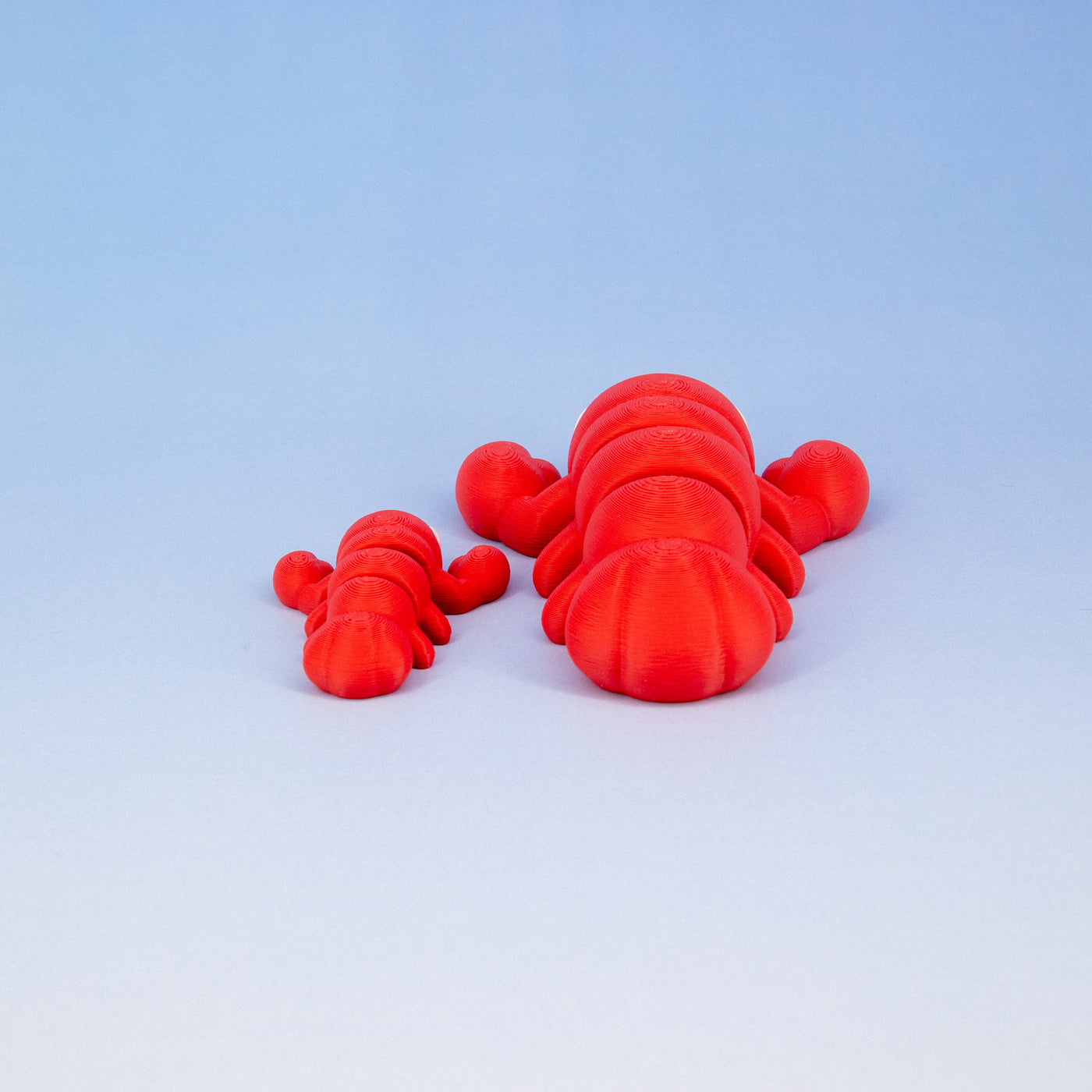 Pocket Pal: Lobster