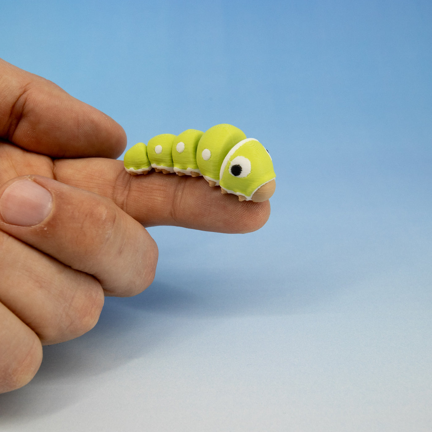 Pocket Pal: Caterpillar
