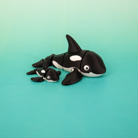 Pocket Pal: Orca Whale