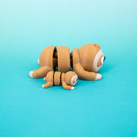 Pocket Pal: Sloth
