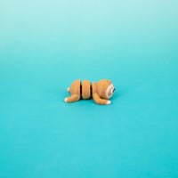 Pocket Pal: Sloth