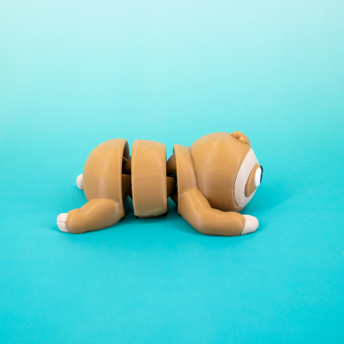 Pocket Pal: Sloth