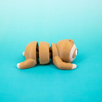 Pocket Pal: Sloth
