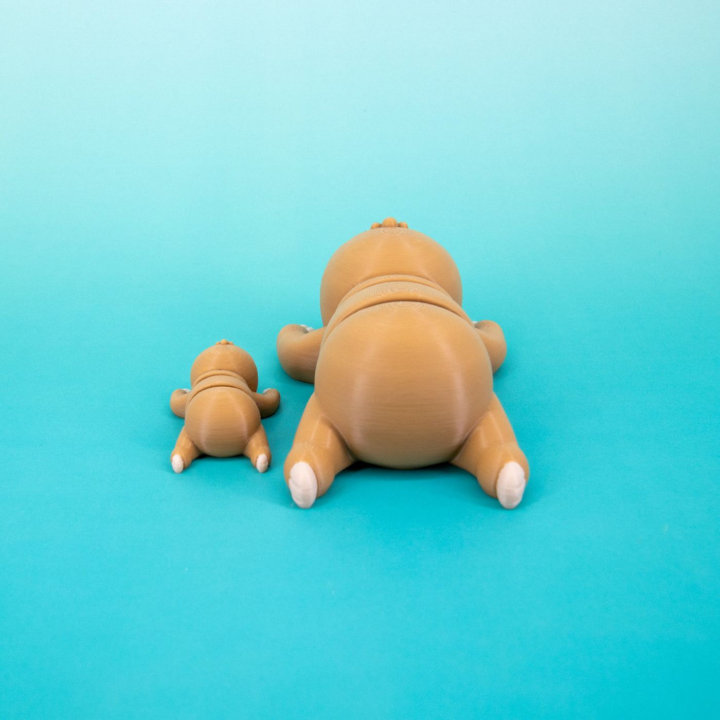 Pocket Pal: Sloth