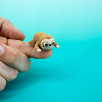 Pocket Pal: Sloth