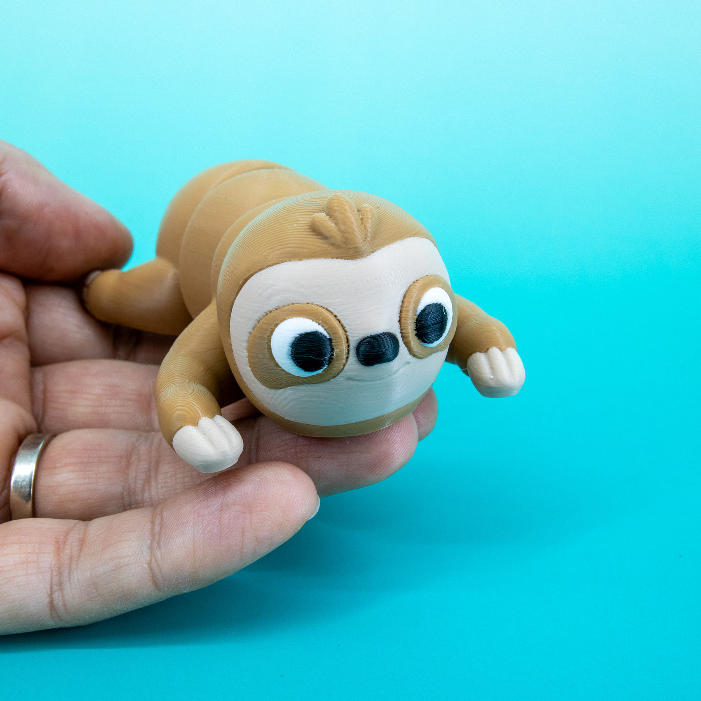 Pocket Pal: Sloth