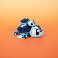 Pocket Pal: Sea Turtle