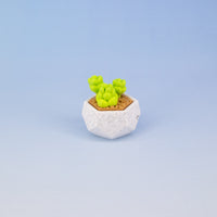 Succulent Keychain Clickie