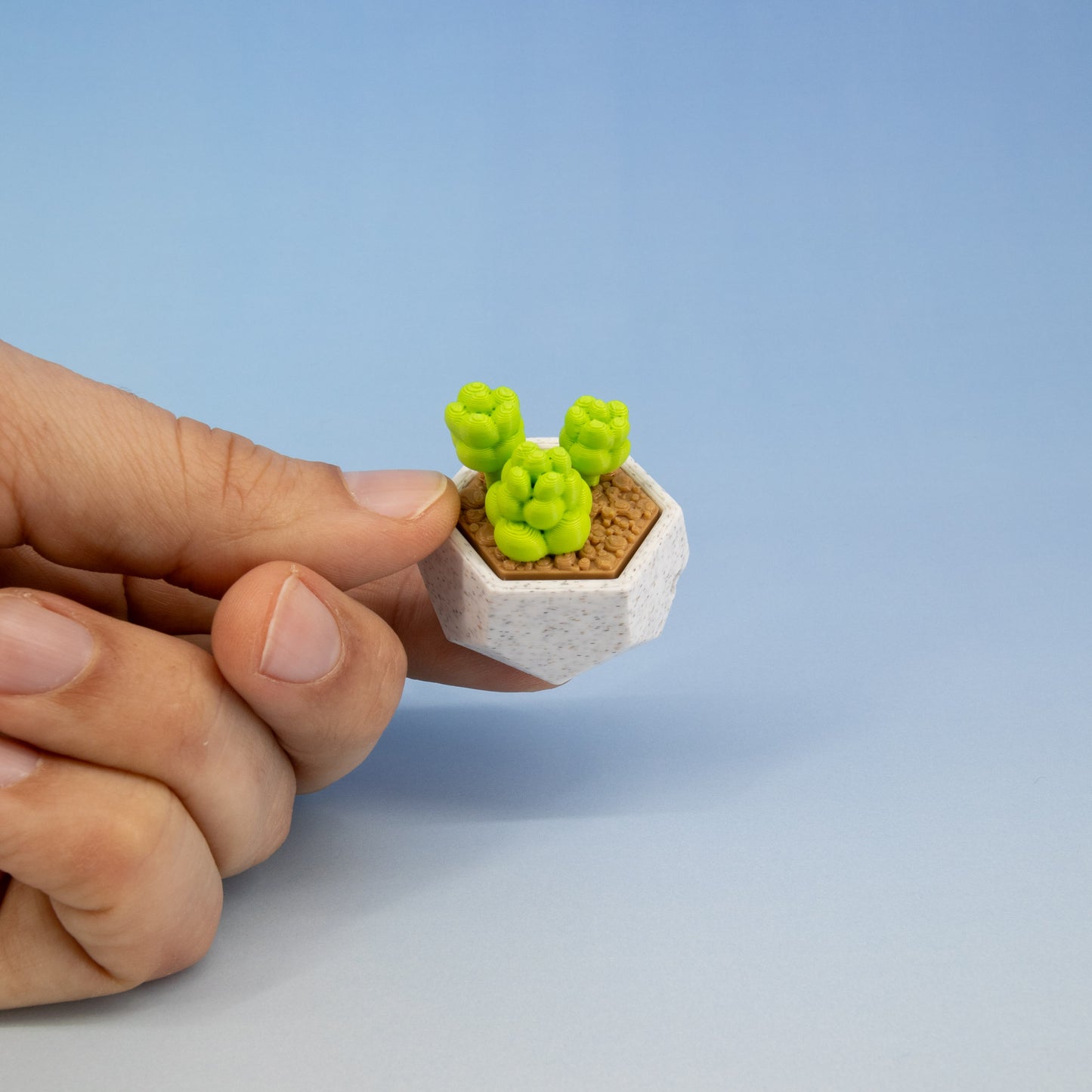 Succulent Keychain Clickie