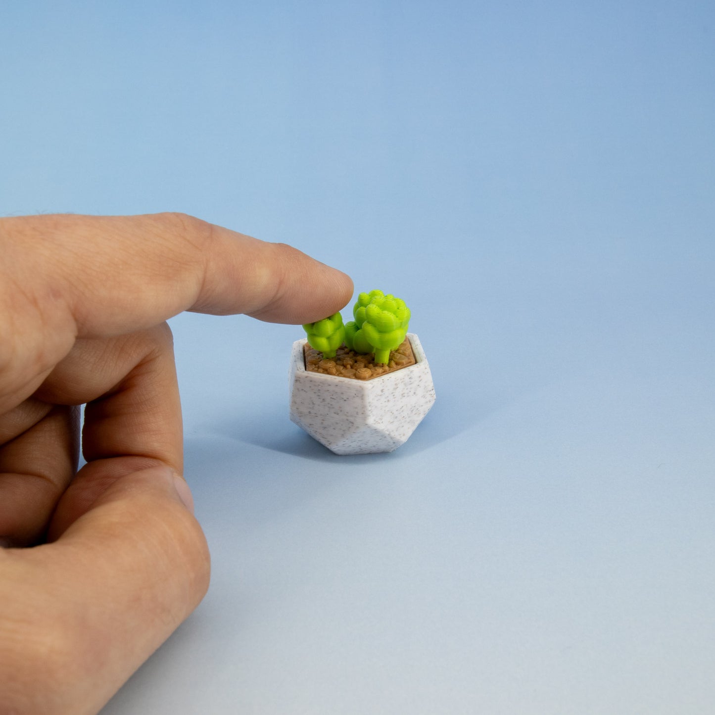 Succulent Keychain Clickie