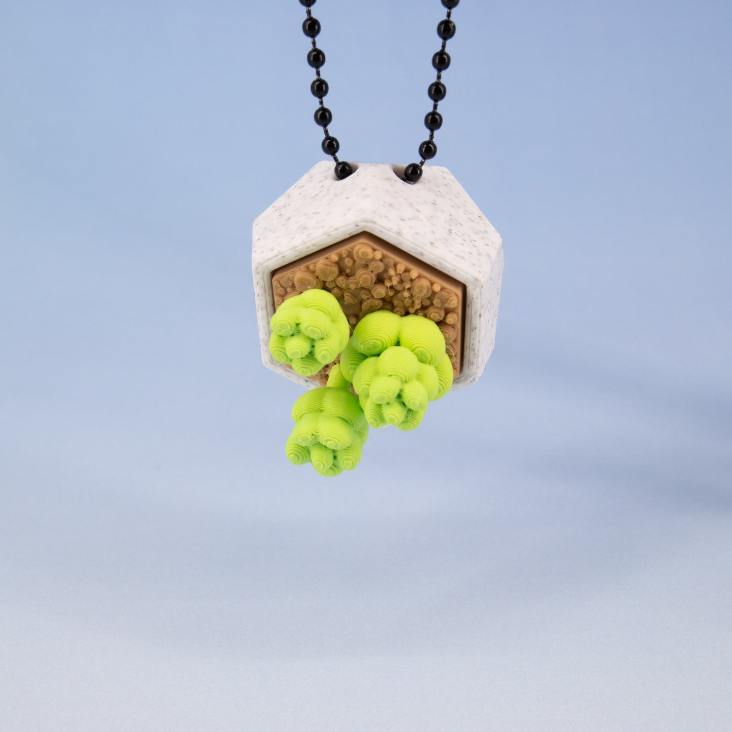 Succulent Keychain Clickie