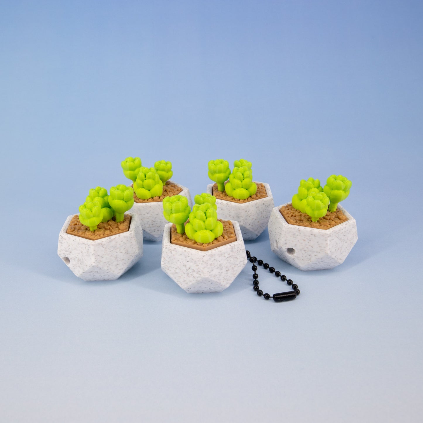 Succulent Keychain Clickie