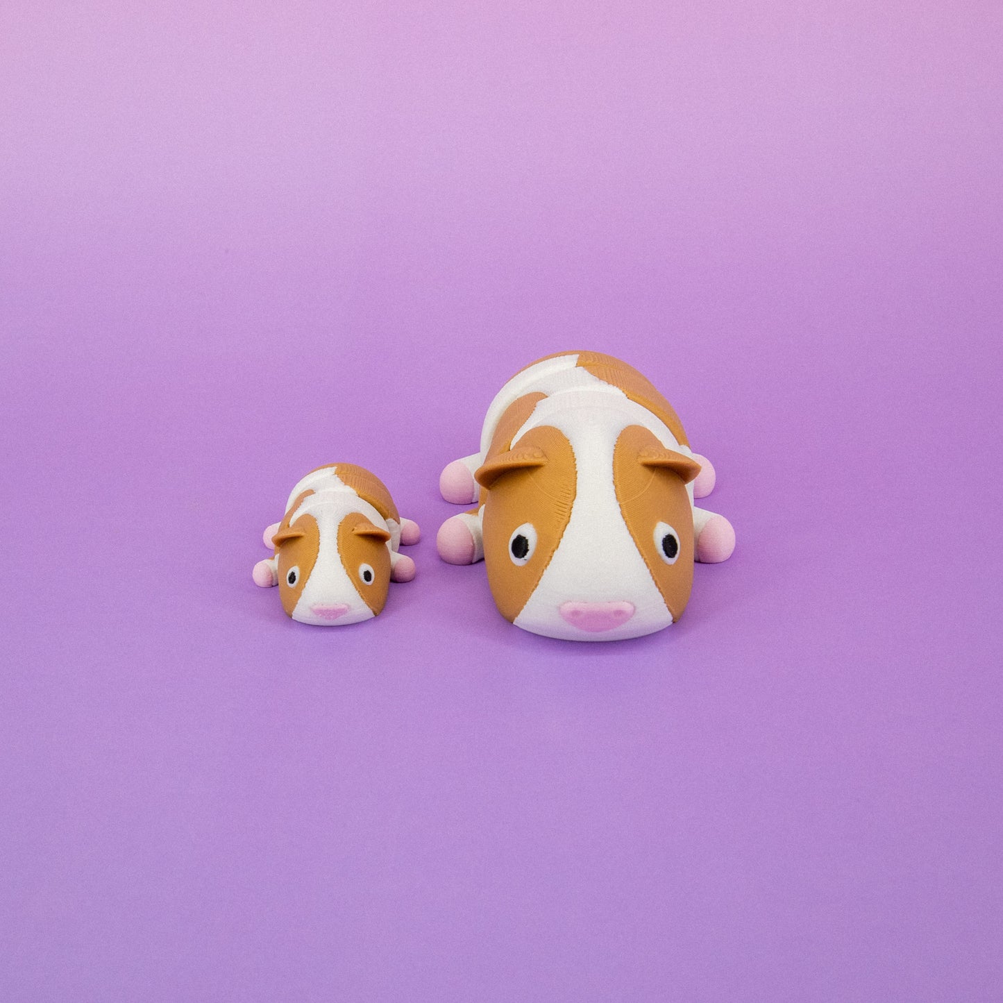 Pocket Pal: Guinea Pig