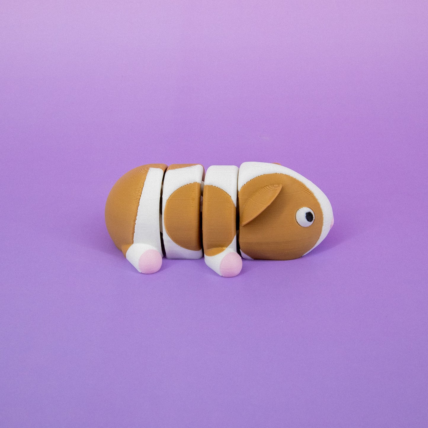 Pocket Pal: Guinea Pig