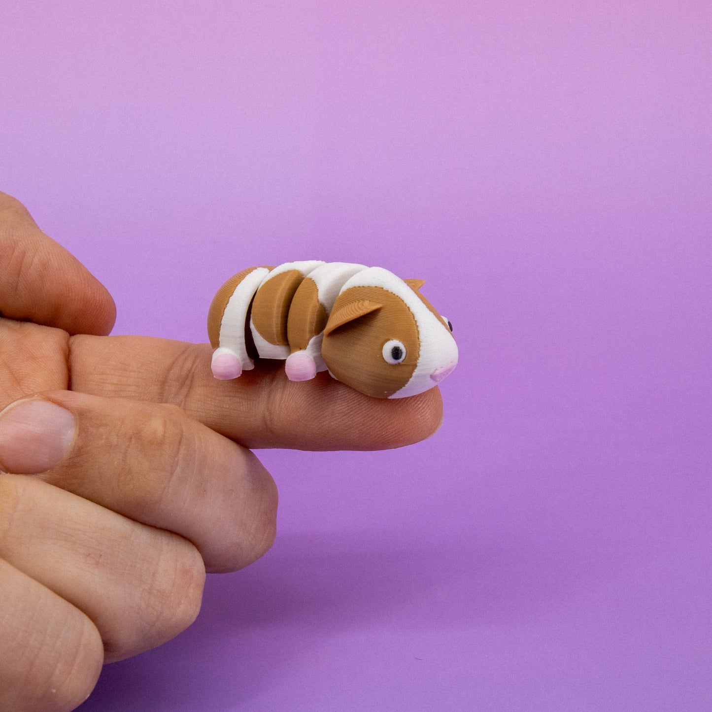 Pocket Pal: Guinea Pig
