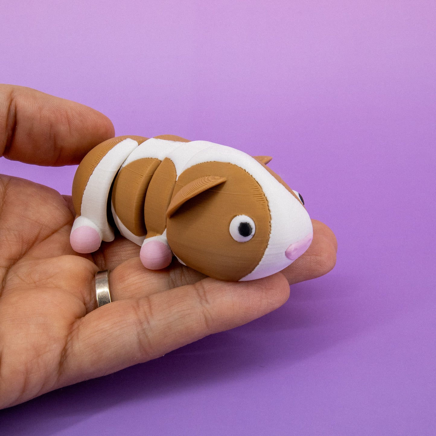 Pocket Pal: Guinea Pig