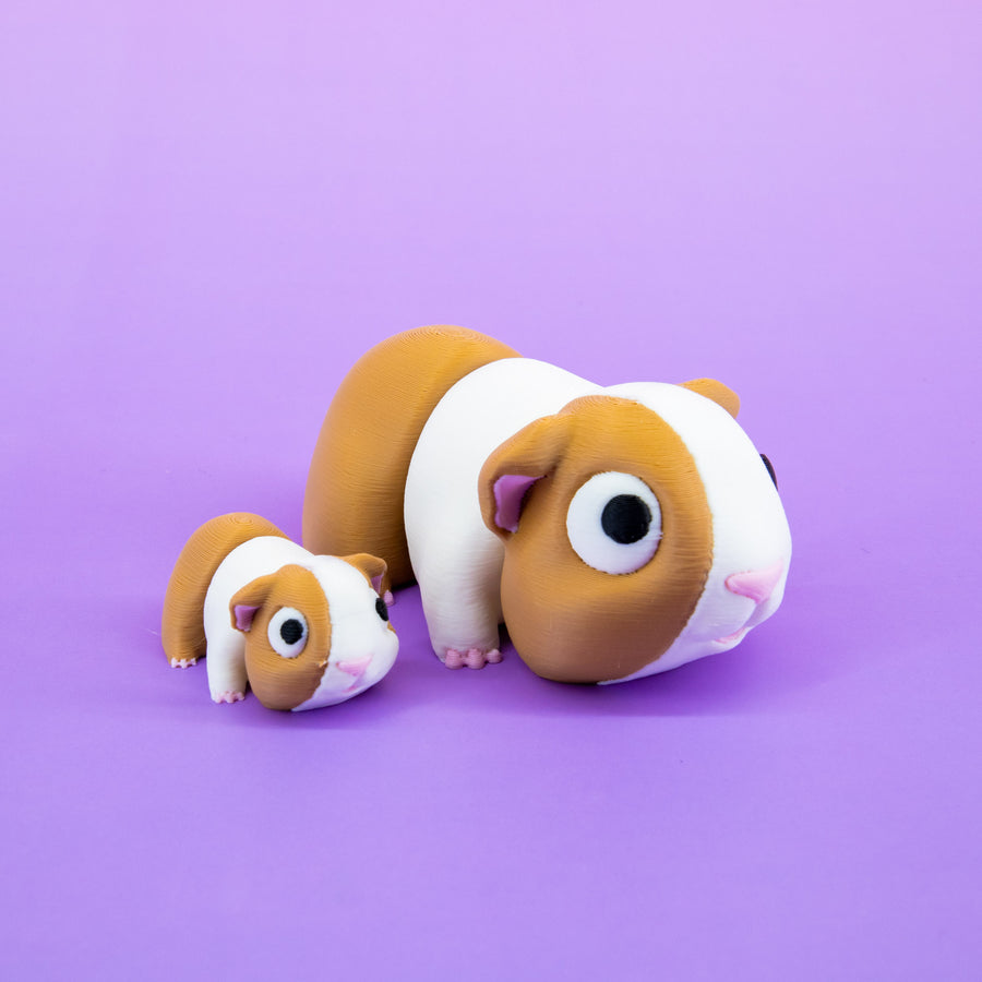 Pocket Pal: Guinea Pig