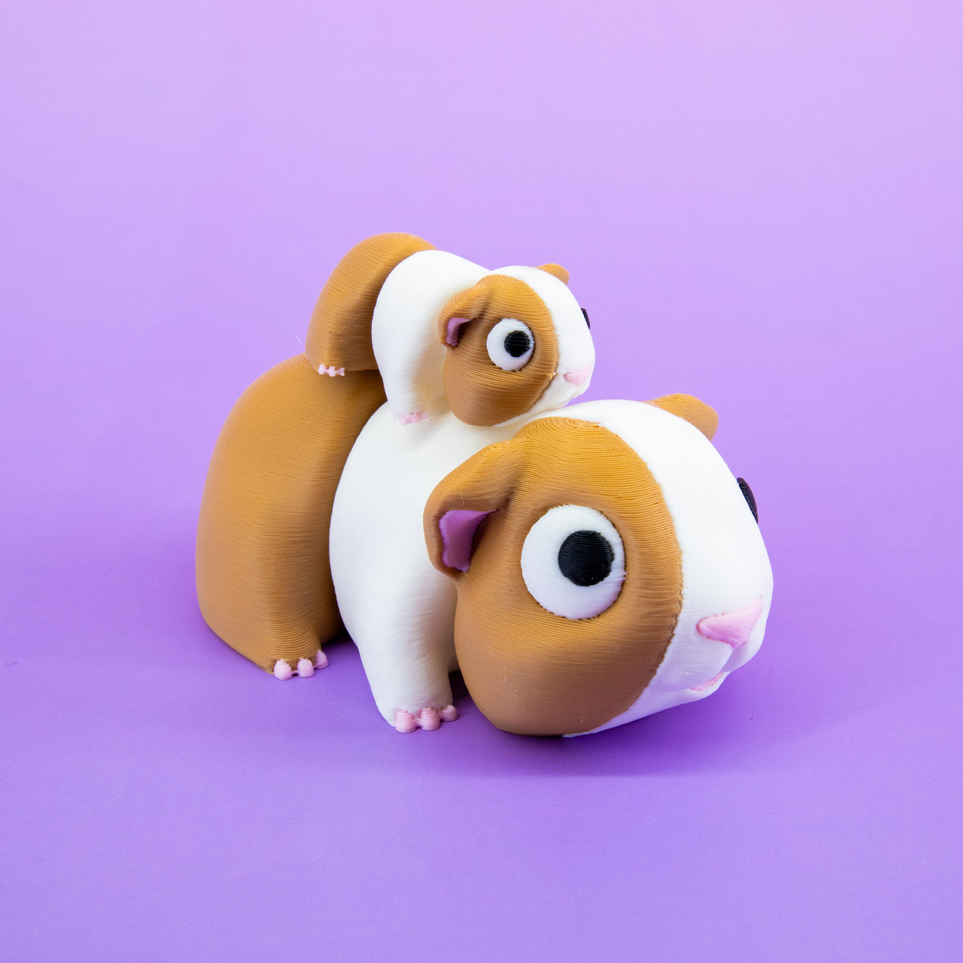 Pocket Pal: Guinea Pig